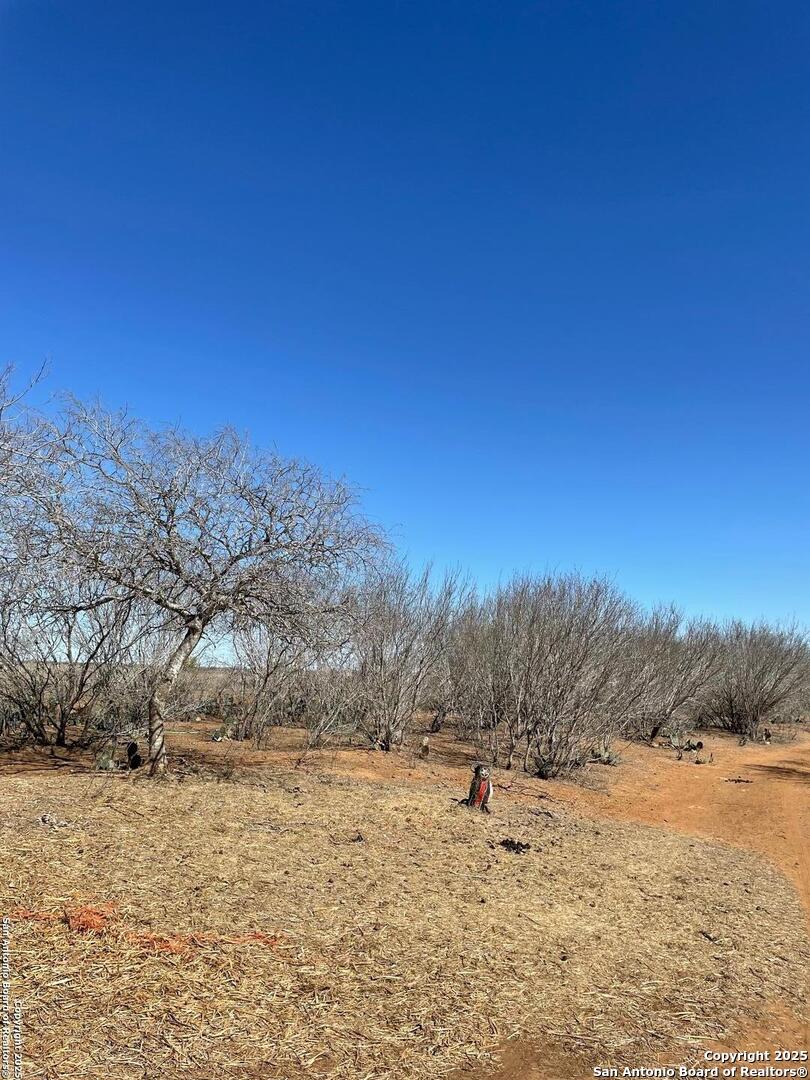 1010 Cr 308a Jourdanton TX 78026