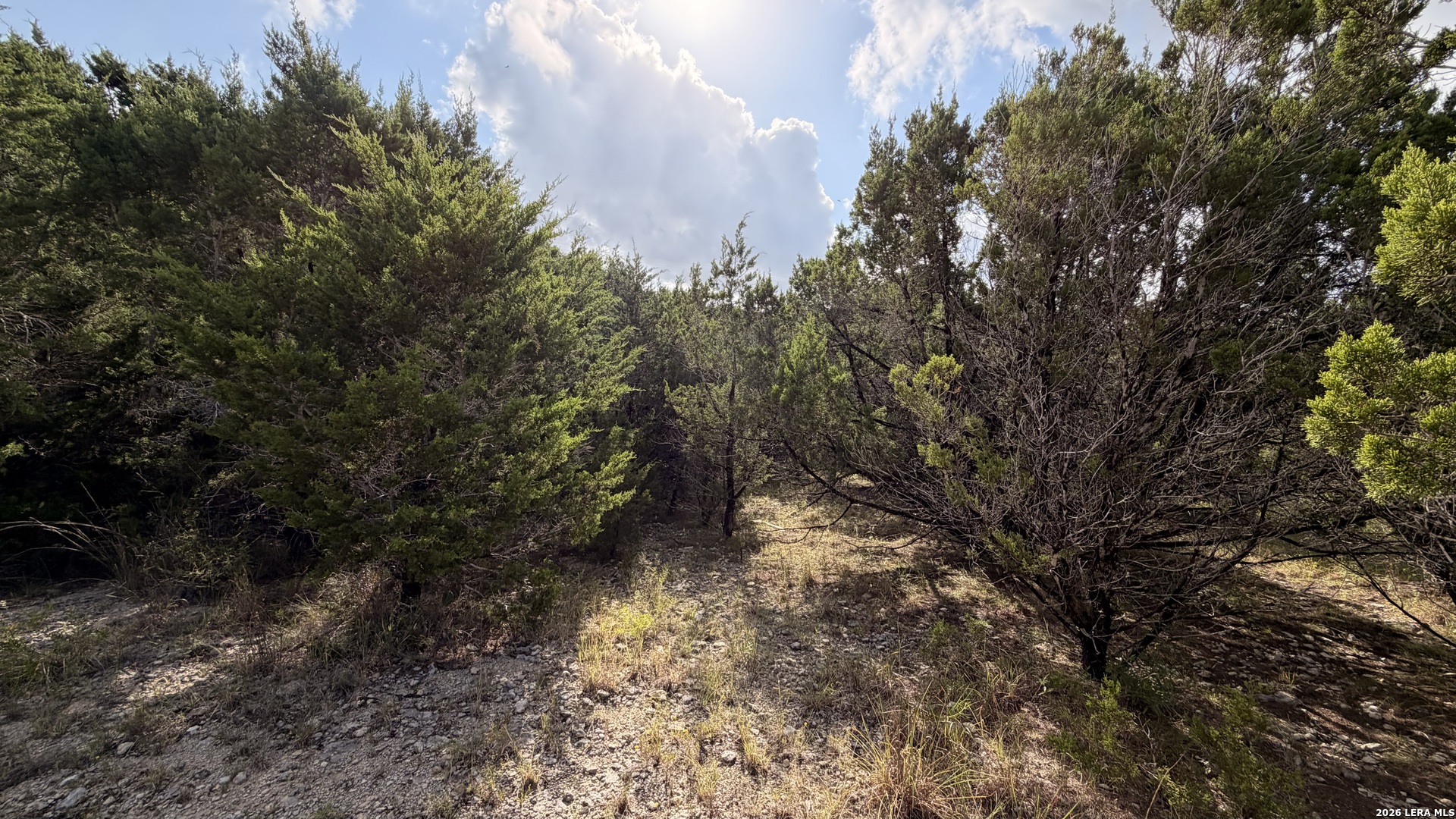 1076 Trail Pass Canyon Lake TX 78133