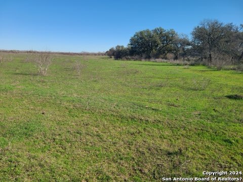 Tbd Tract 2 Street Highway 119 Stockdale TX 78160