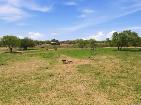 7293 Fm 327 Elmendorf TX 78112