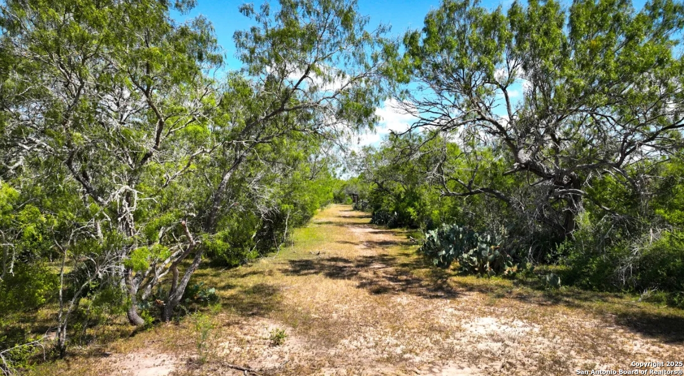 000 Cr 342 Beeville TX 78102