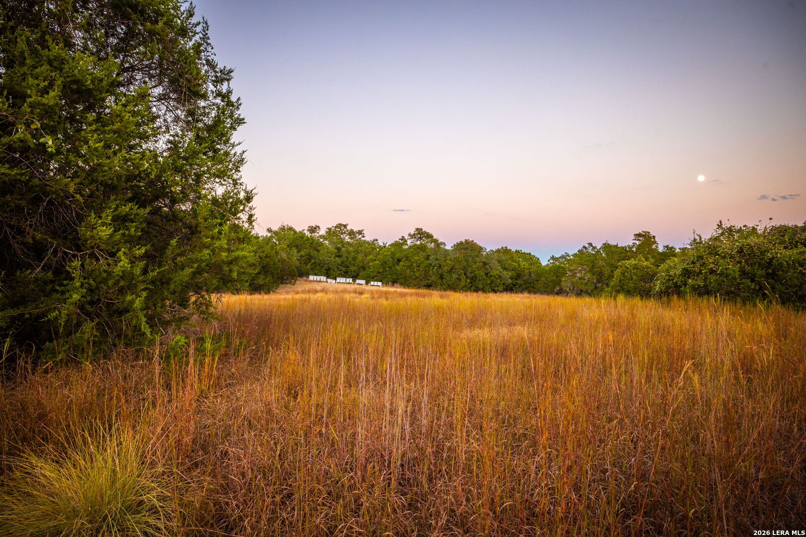 1100 Thompson Ranch Road Wimberley TX 78676