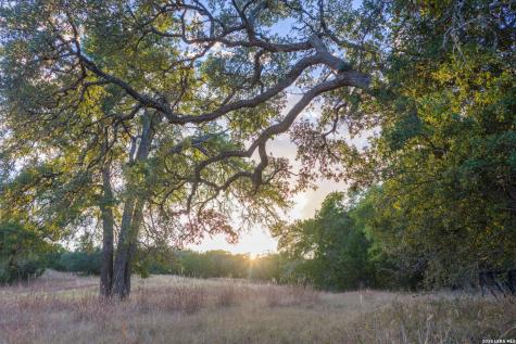 1100 Thompson Ranch Road Wimberley TX 78676