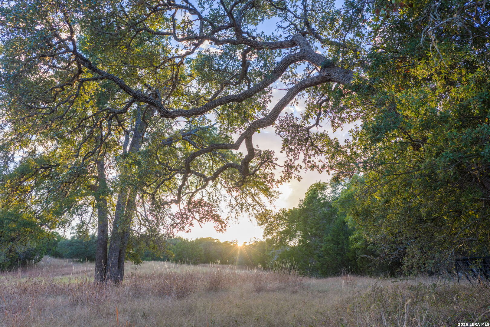 1100 Thompson Ranch Road Wimberley TX 78676