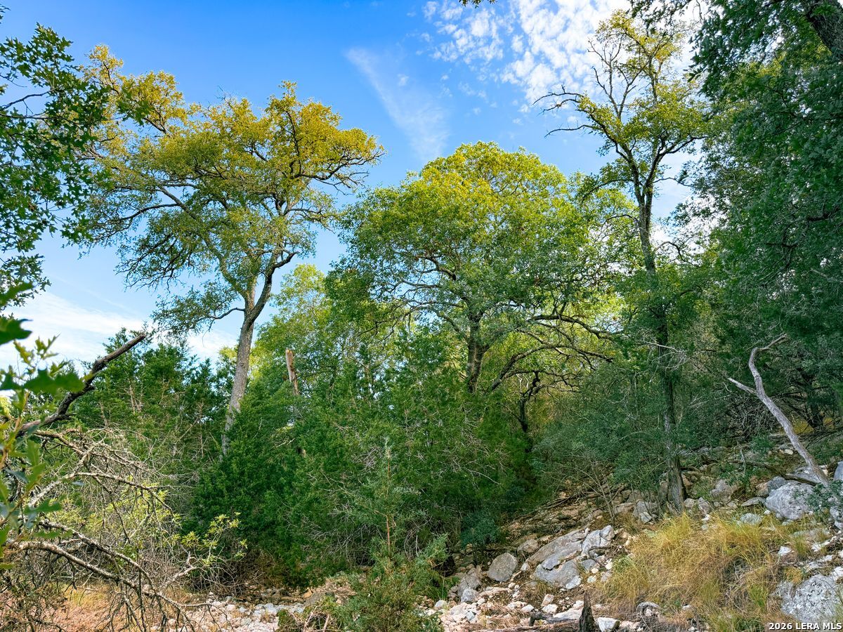 107 Camp Alzafar Boerne TX 78006