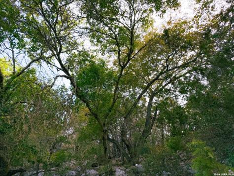 107 Camp Alzafar Boerne TX 78006