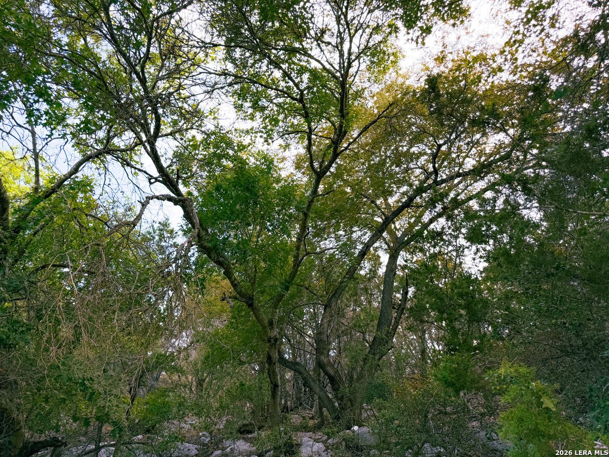 107 Camp Alzafar Boerne TX 78006