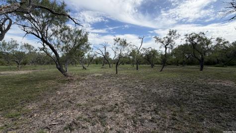 8702 Old Sky Harbor San Antonio TX 78242