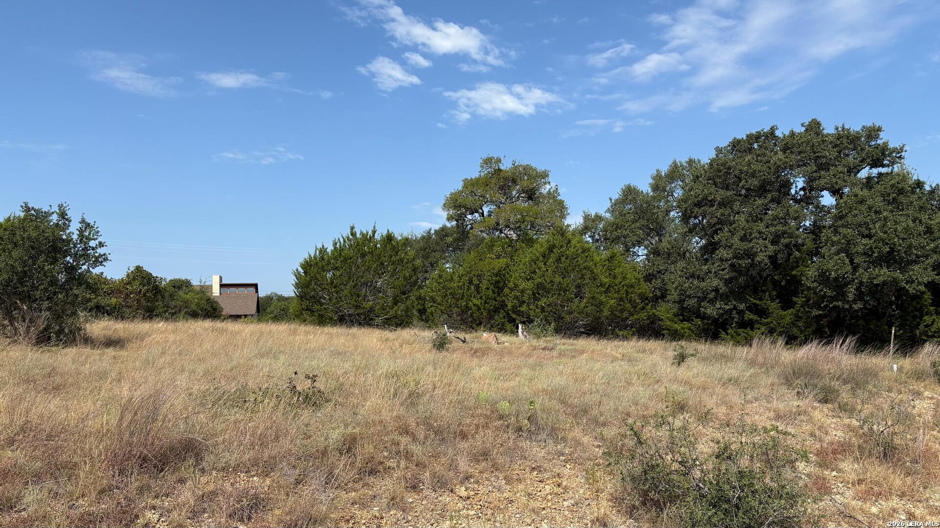 106 Lewis Todd Blanco TX 78606