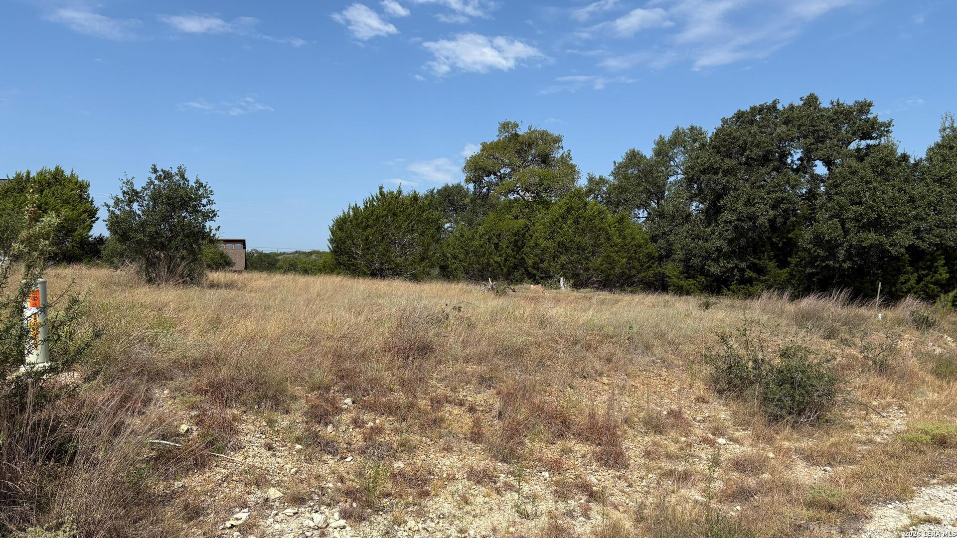 106 Lewis Todd Blanco TX 78606