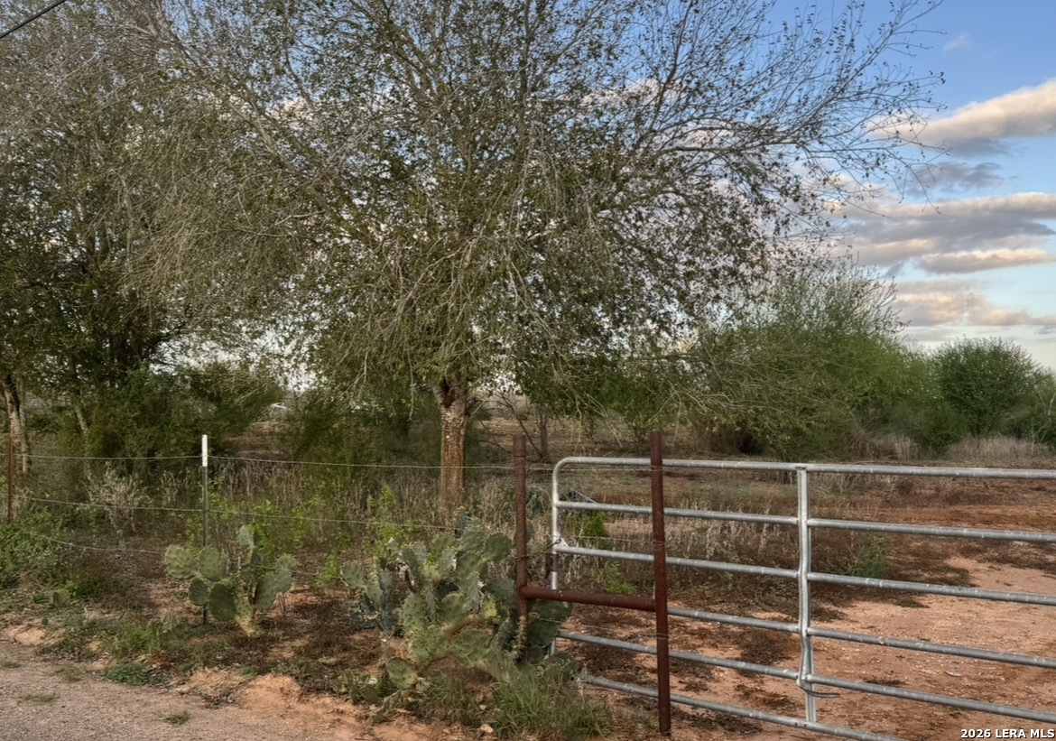 24 Cheyenne Hebbronville TX 78361