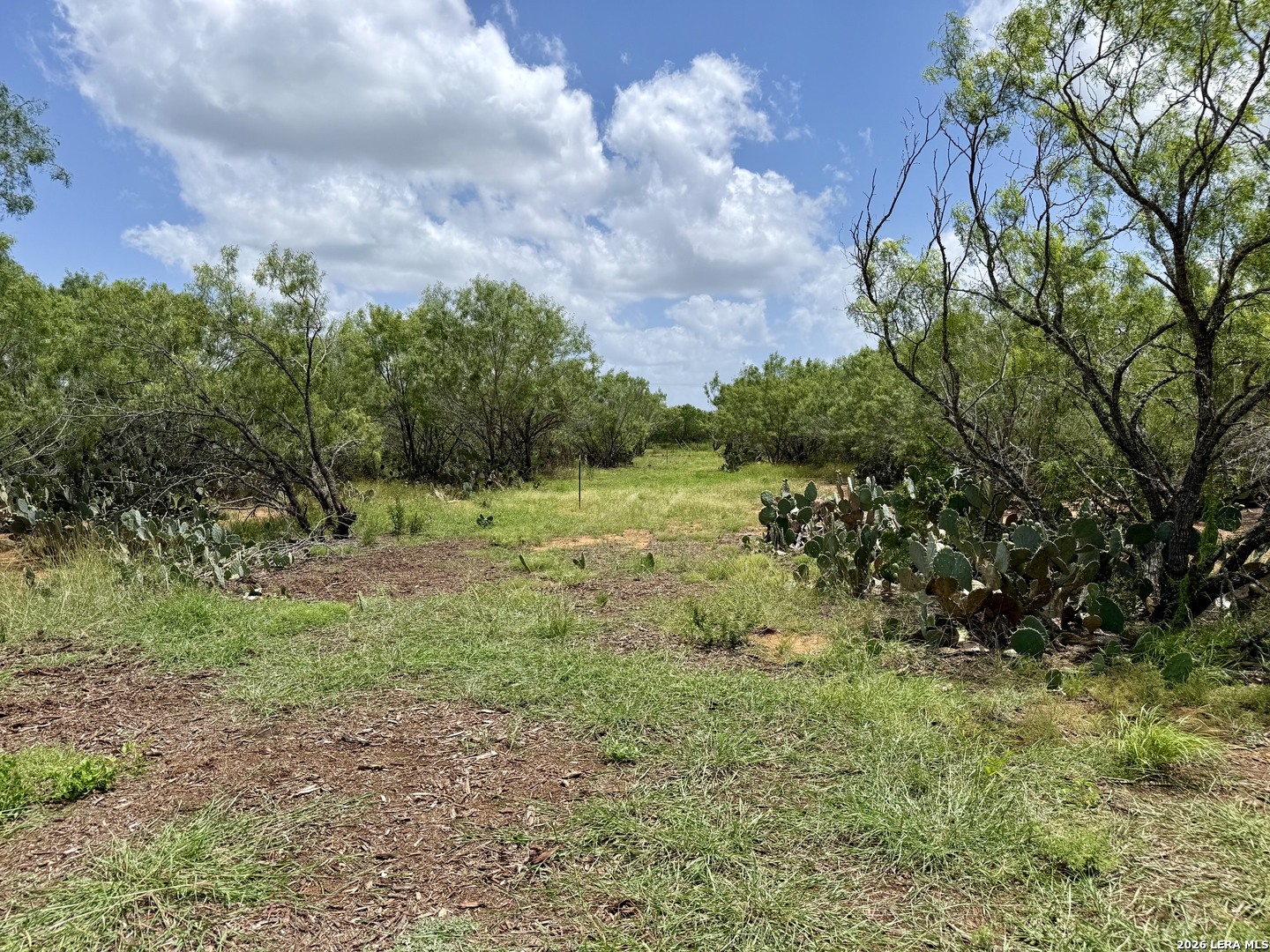 2253 County Road 332 Charlotte TX 78011