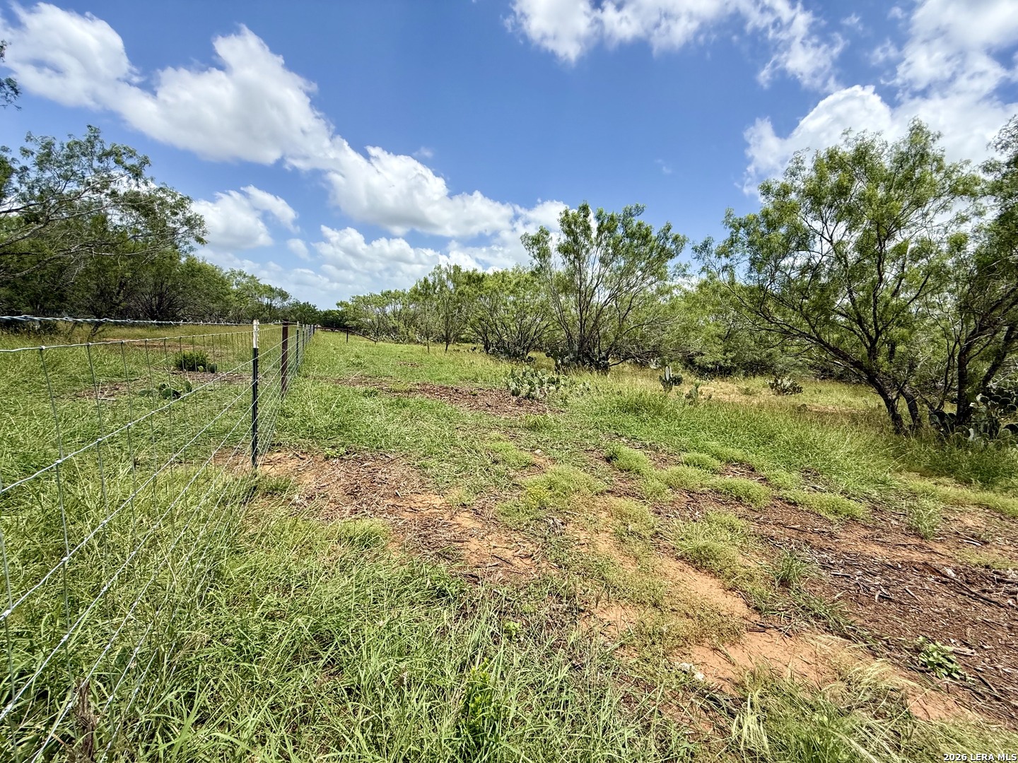 2253 County Road 332 Charlotte TX 78011