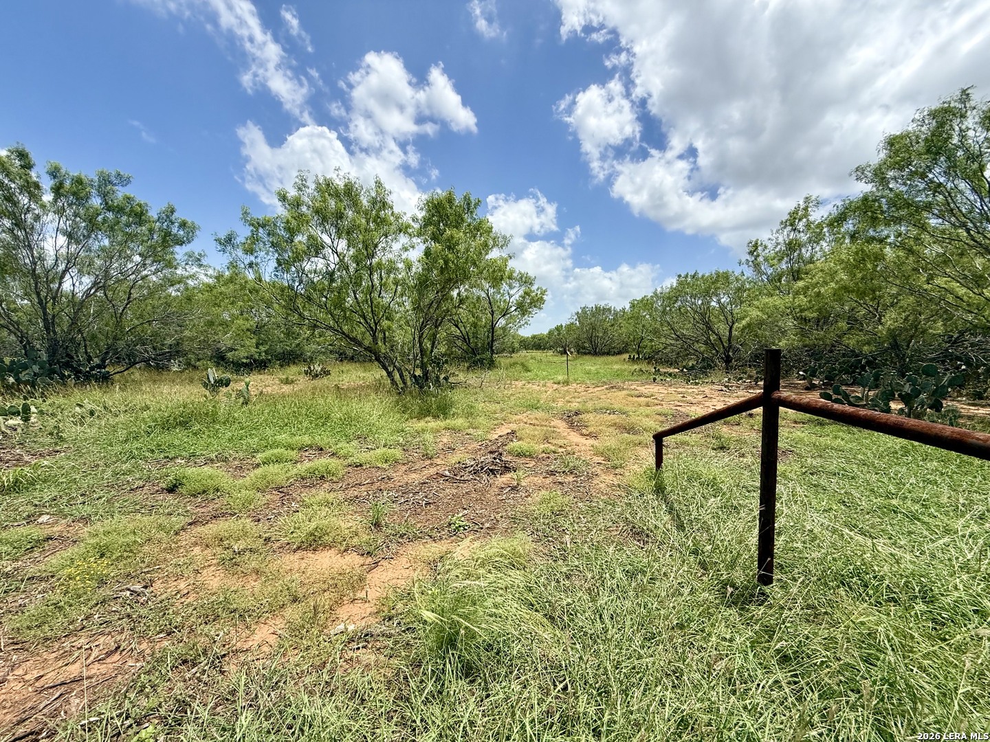 2253 County Road 332 Charlotte TX 78011