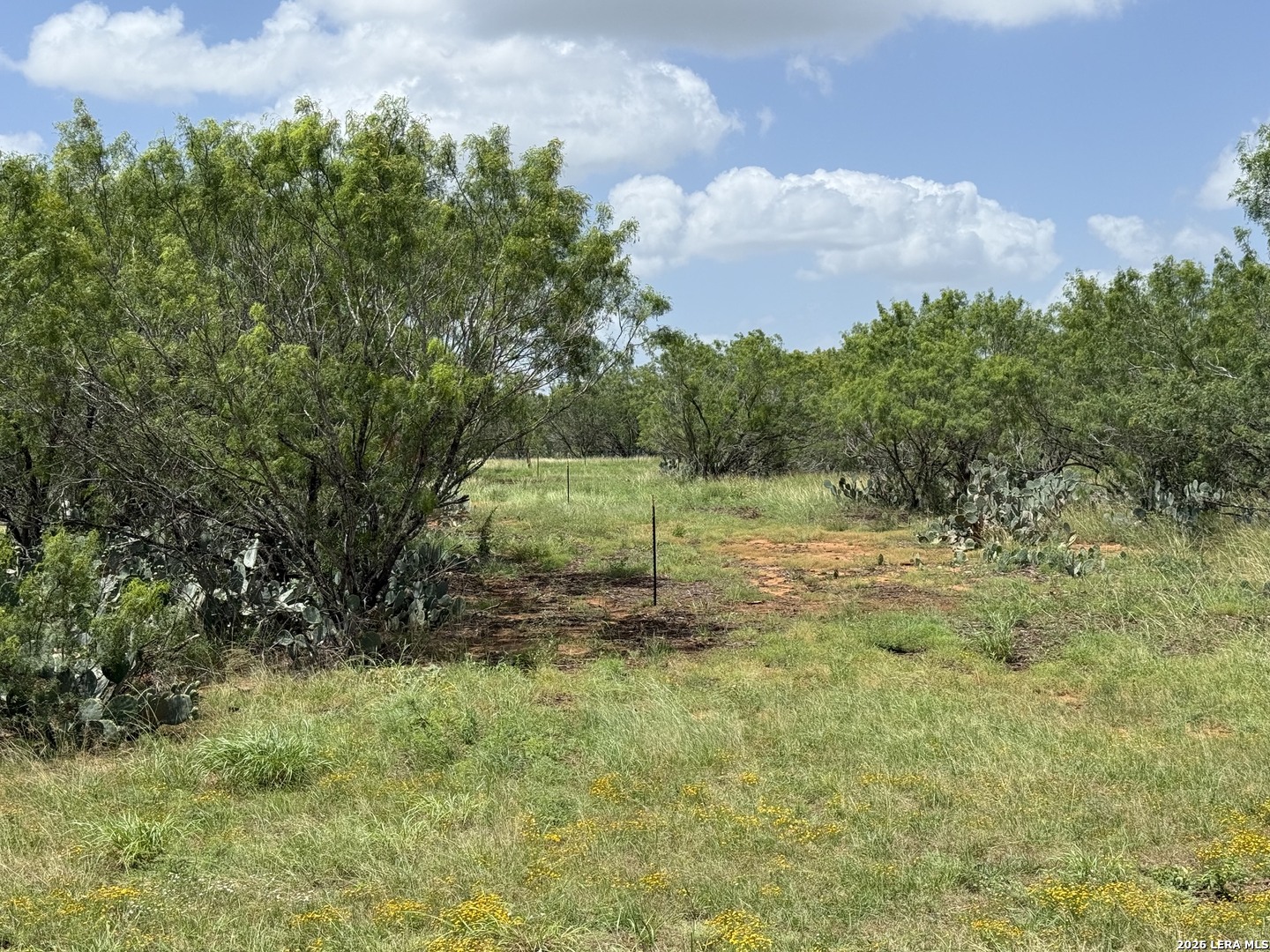 2253 County Road 332 Charlotte TX 78011