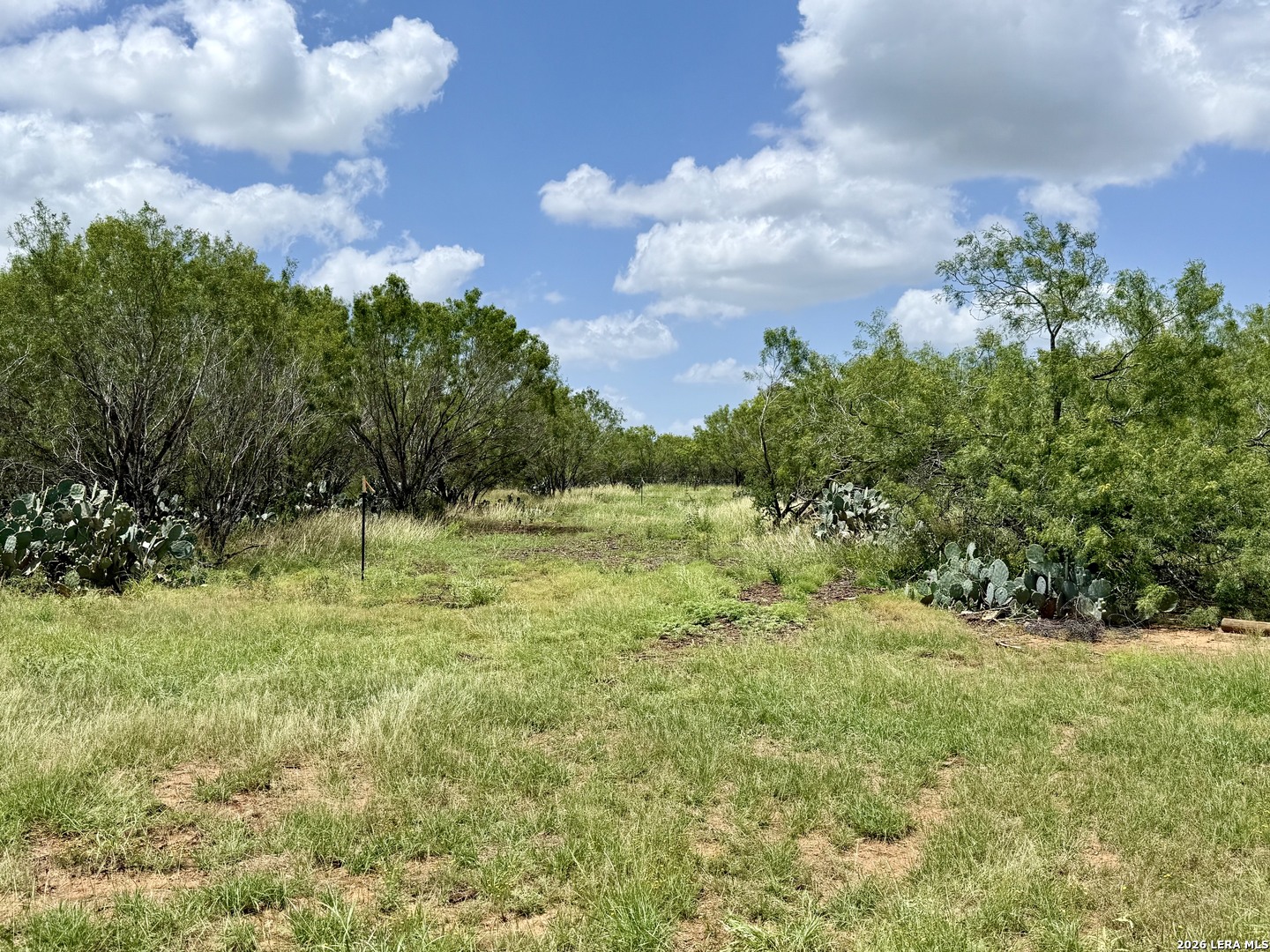 2253 County Road 332 Charlotte TX 78011