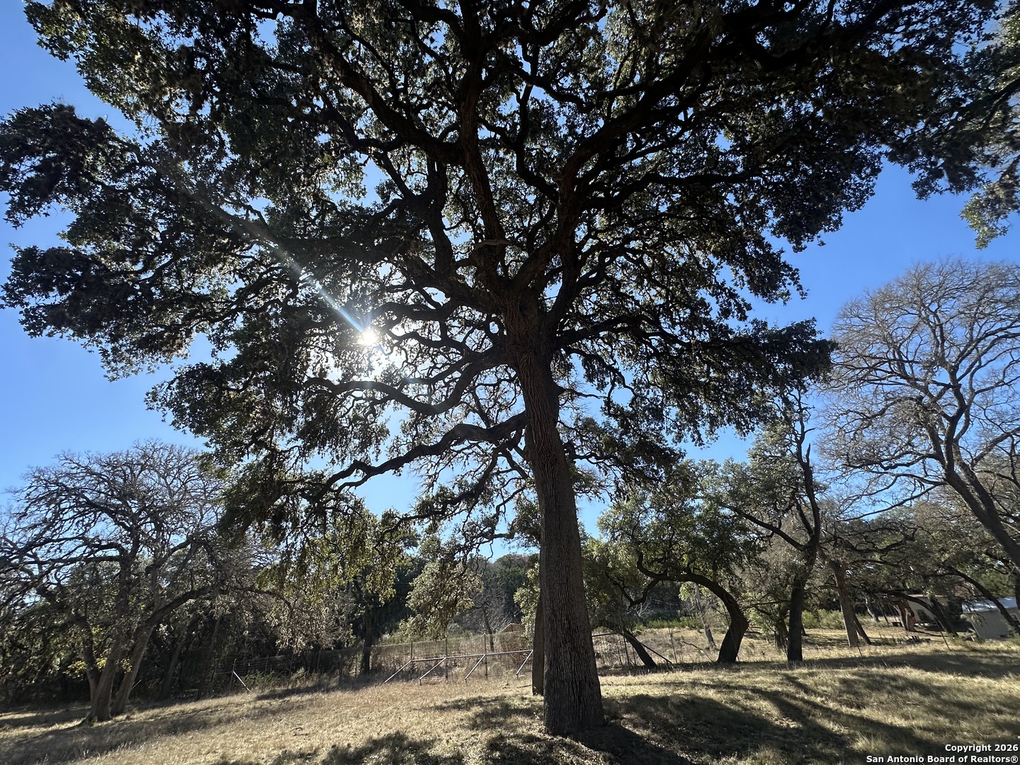 31 Bison Court Pipe Creek TX 78063