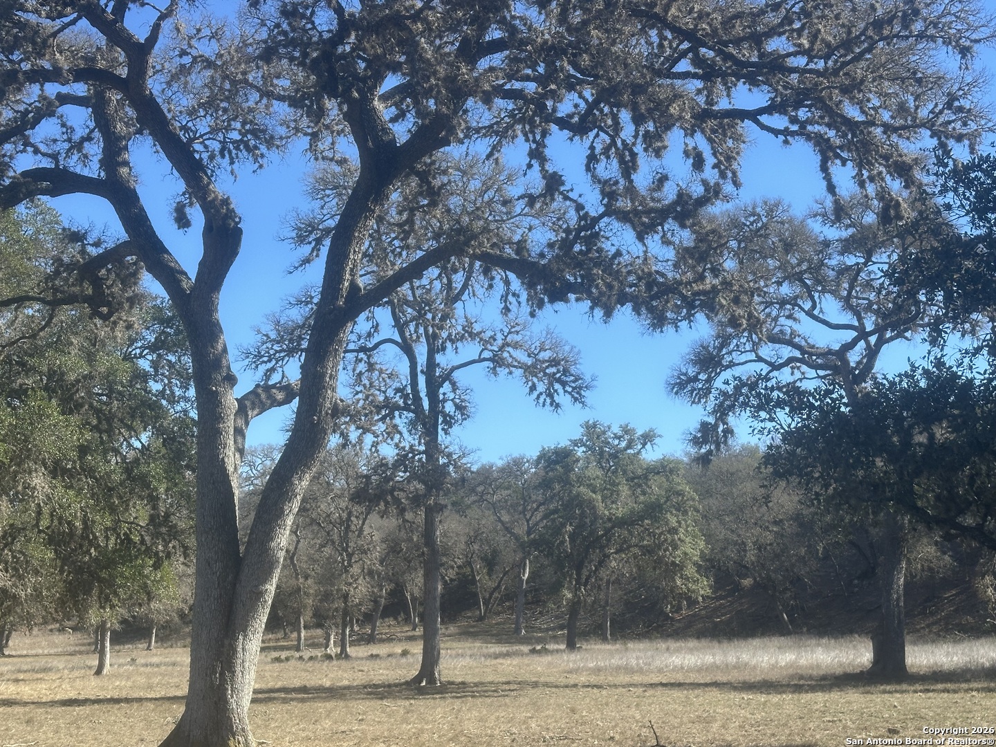 31 Bison Court Pipe Creek TX 78063