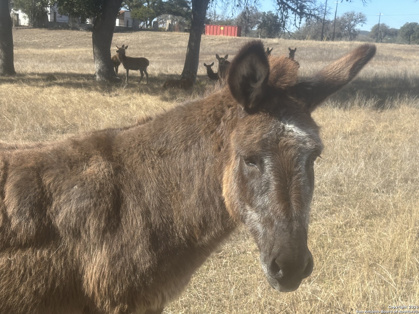 31 Bison Court Pipe Creek TX 78063