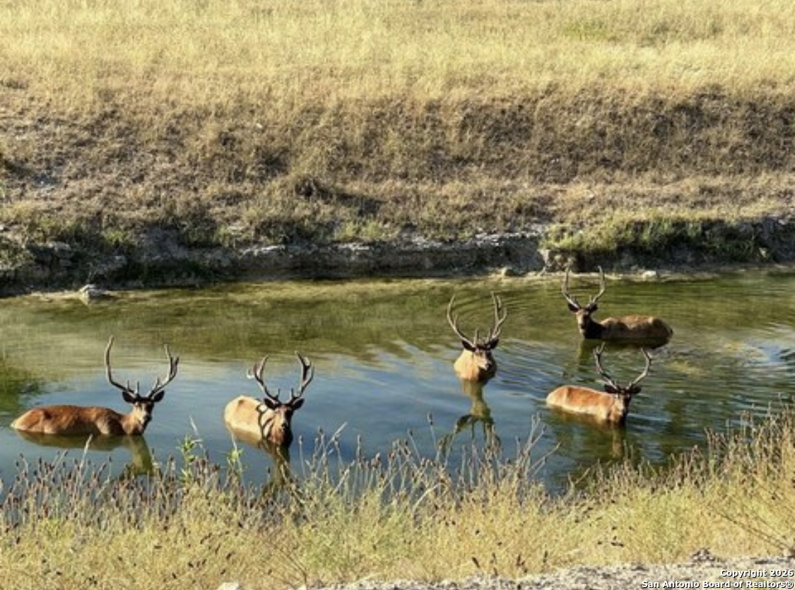 31 Bison Court Pipe Creek TX 78063