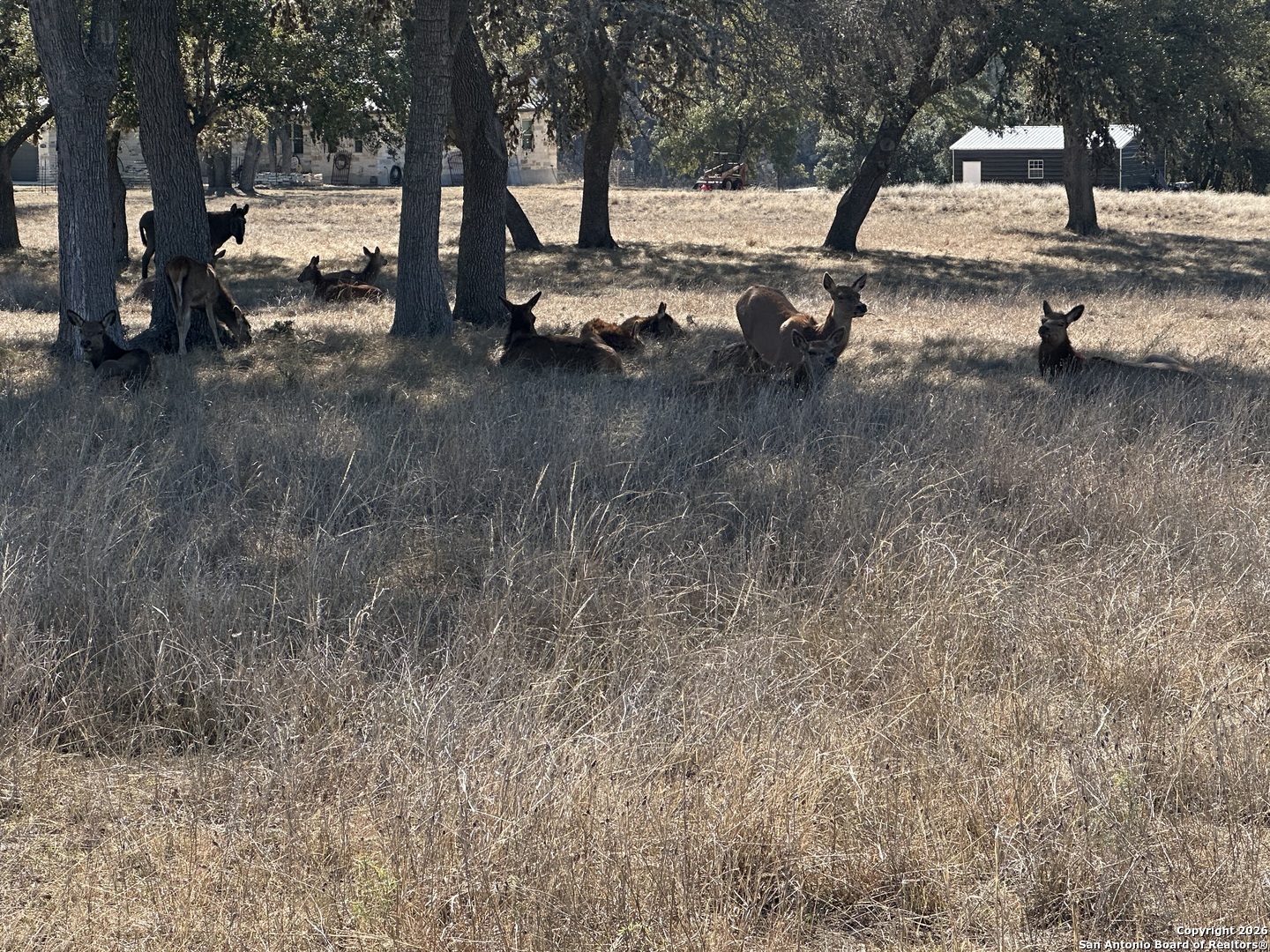 31 Bison Court Pipe Creek TX 78063