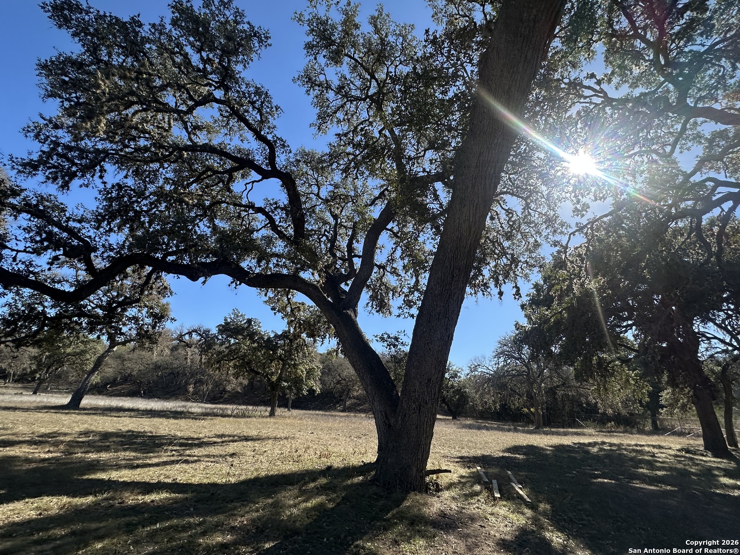 31 Bison Court Pipe Creek TX 78063