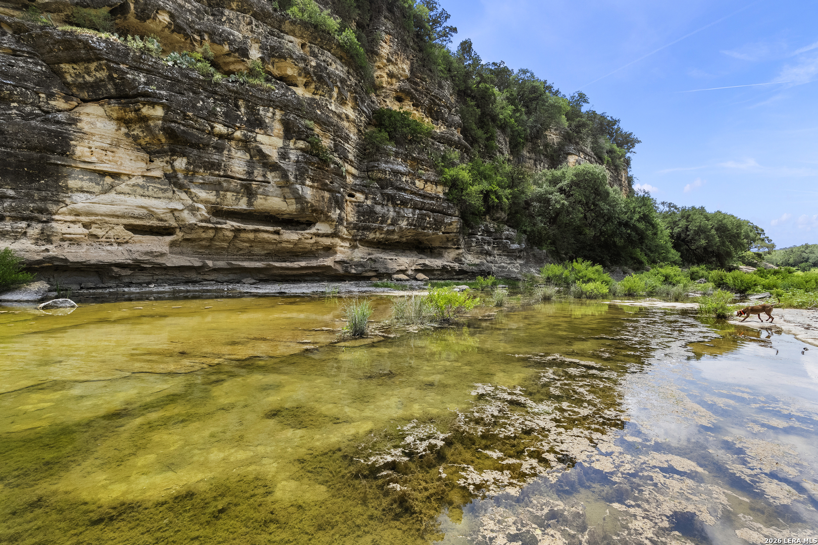 29091 Cibolo Cliff Road Bulverde TX 78163