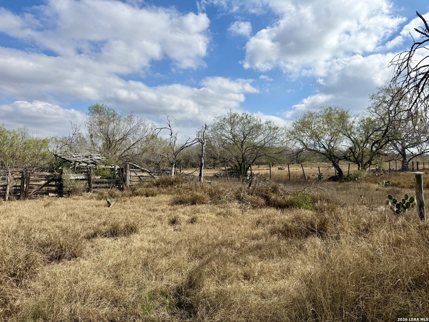 Tbd Us Highway 281 Pleasanton TX 78064