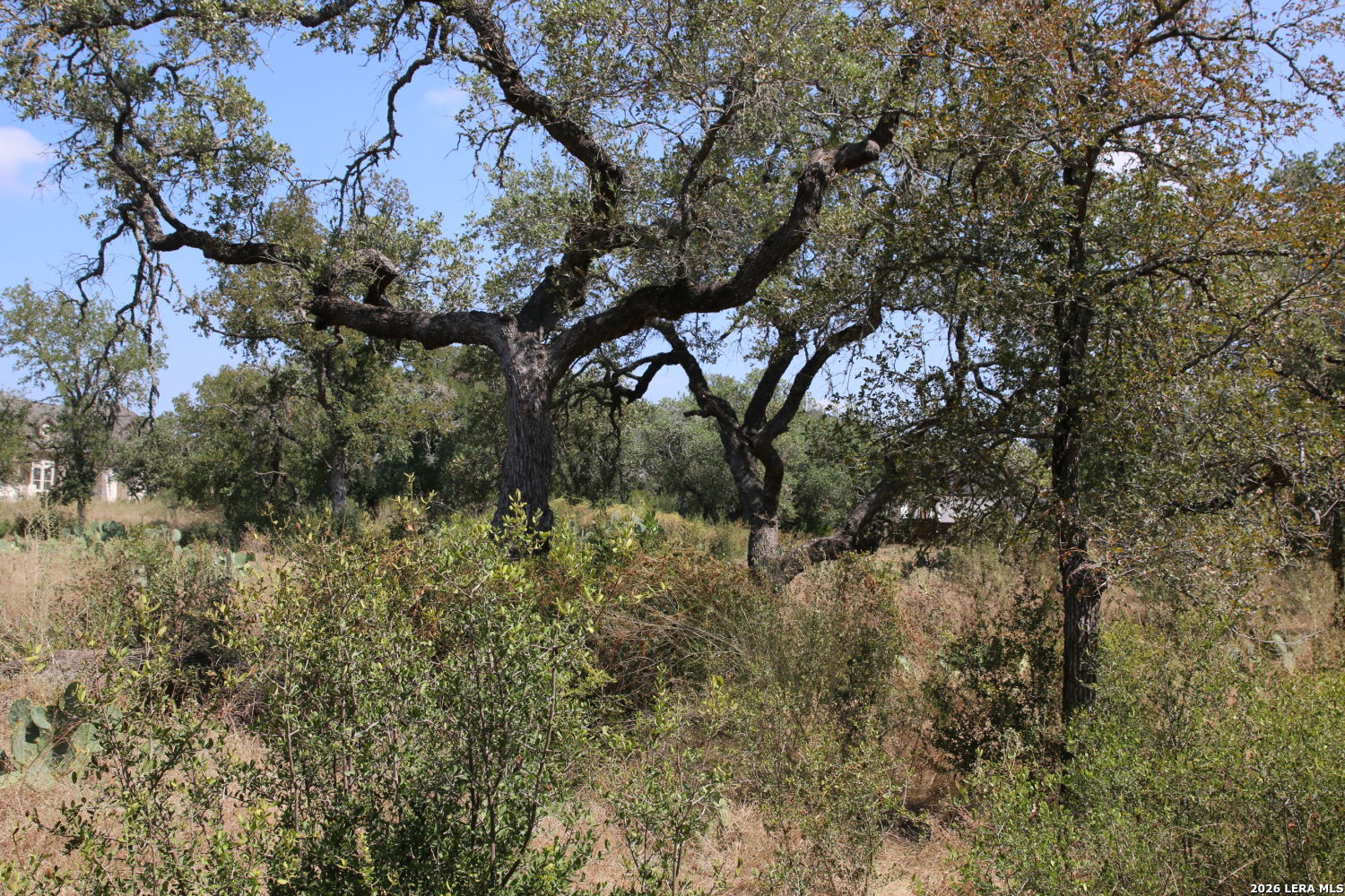 Tbd Stone Loop Castroville TX 78009