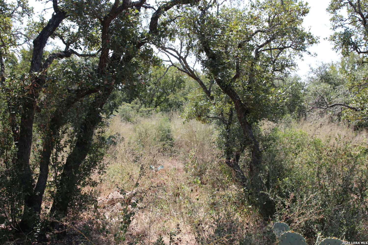 Tbd Stone Loop Castroville TX 78009