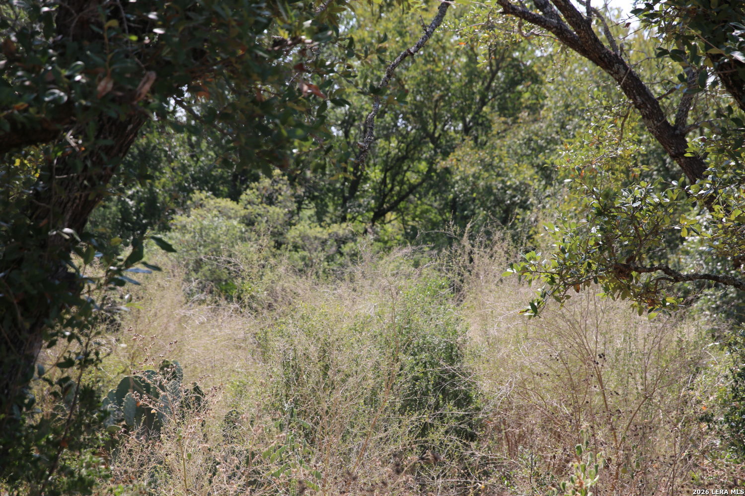 Tbd Stone Loop Castroville TX 78009