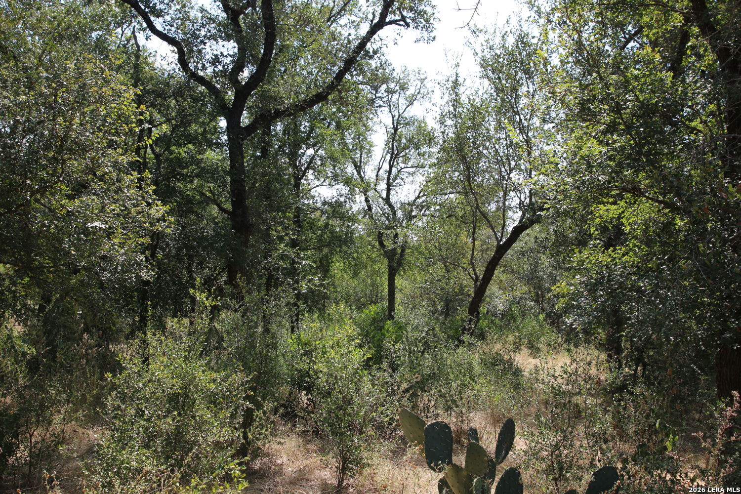 Tbd Stone Loop Castroville TX 78009