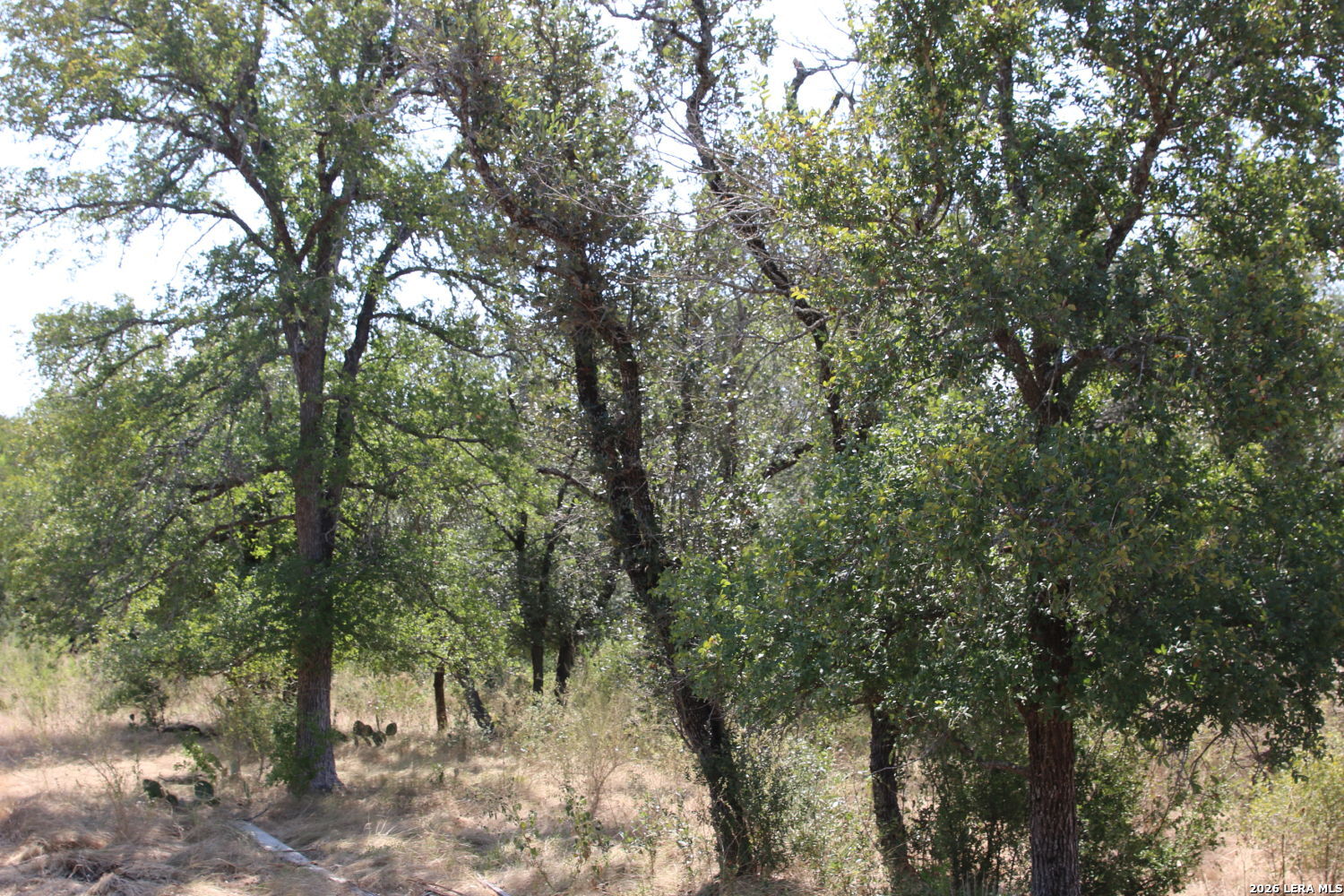 Tbd Stone Loop Castroville TX 78009
