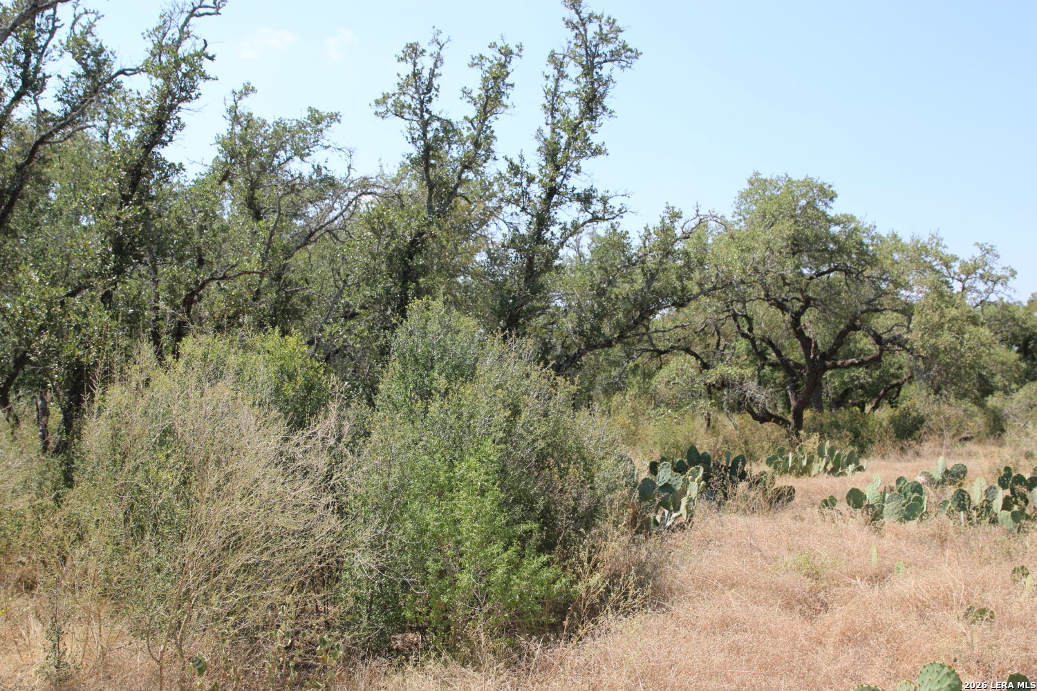 Tbd Stone Loop Castroville TX 78009