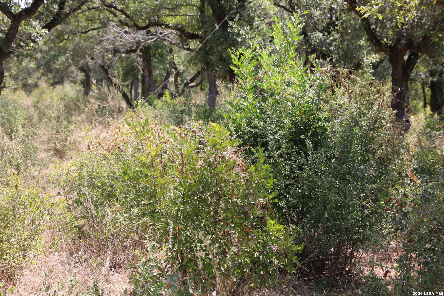 Tbd Stone Loop Castroville TX 78009