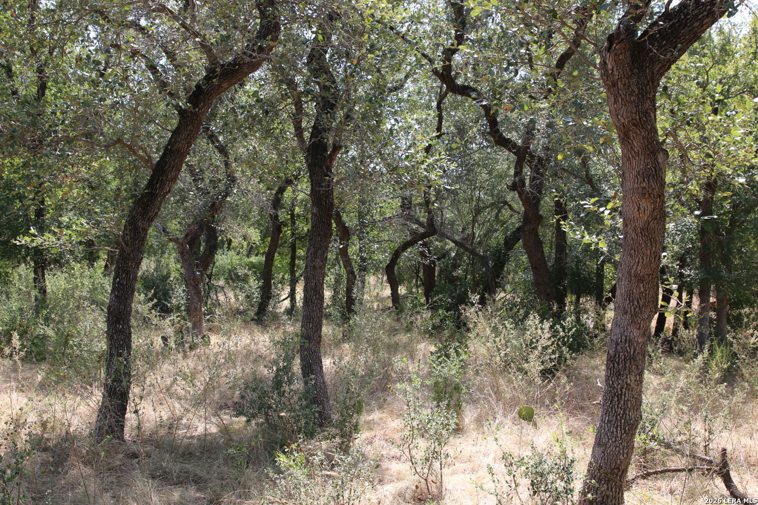 Tbd Stone Loop Castroville TX 78009