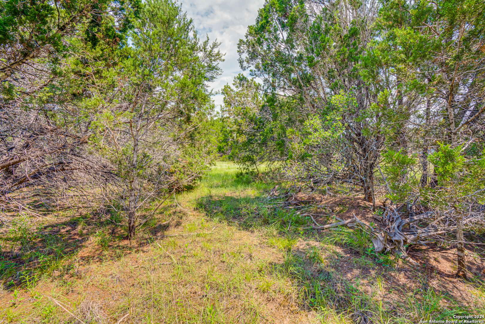 1642 Paradise Parkway Canyon Lake TX 78133