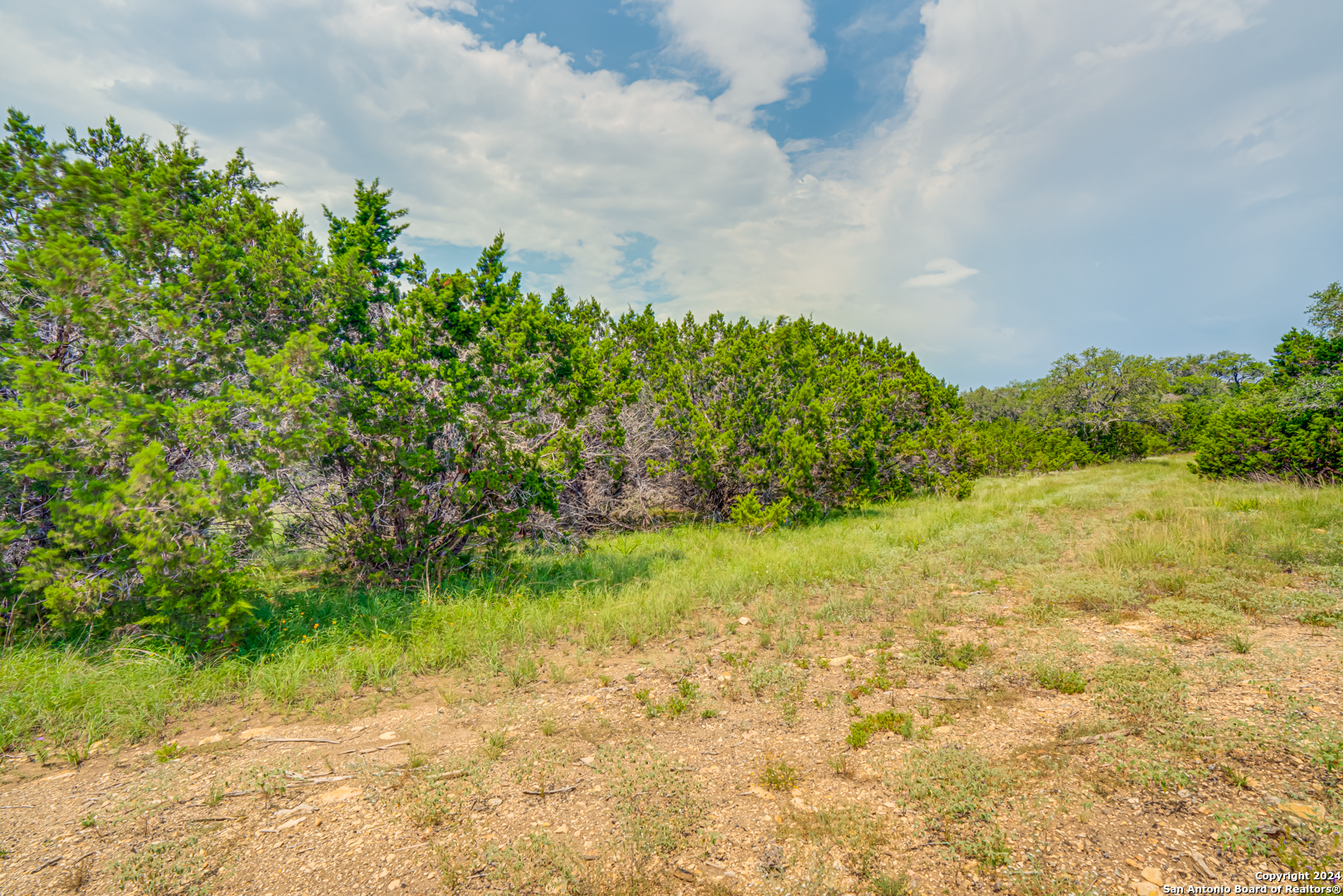 1642 Paradise Parkway Canyon Lake TX 78133