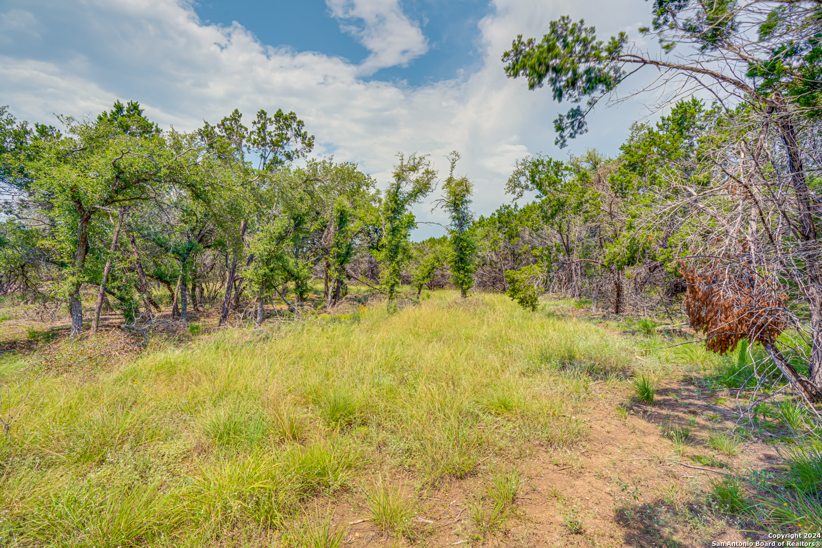1642 Paradise Parkway Canyon Lake TX 78133