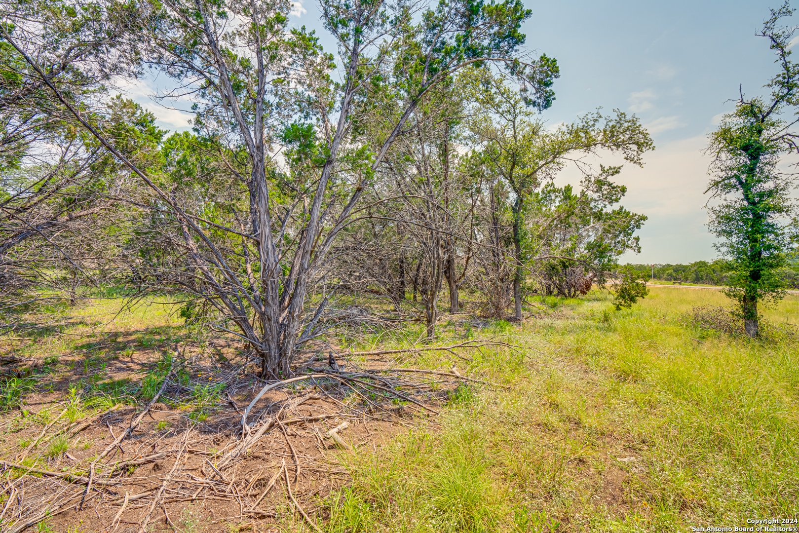 1642 Paradise Parkway Canyon Lake TX 78133