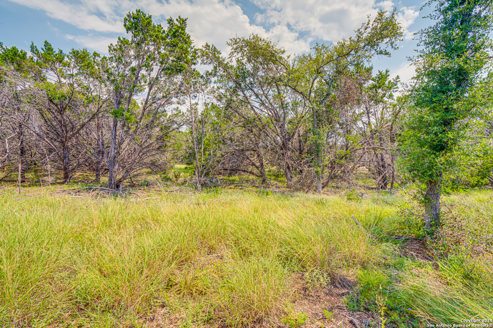 1642 Paradise Parkway Canyon Lake TX 78133