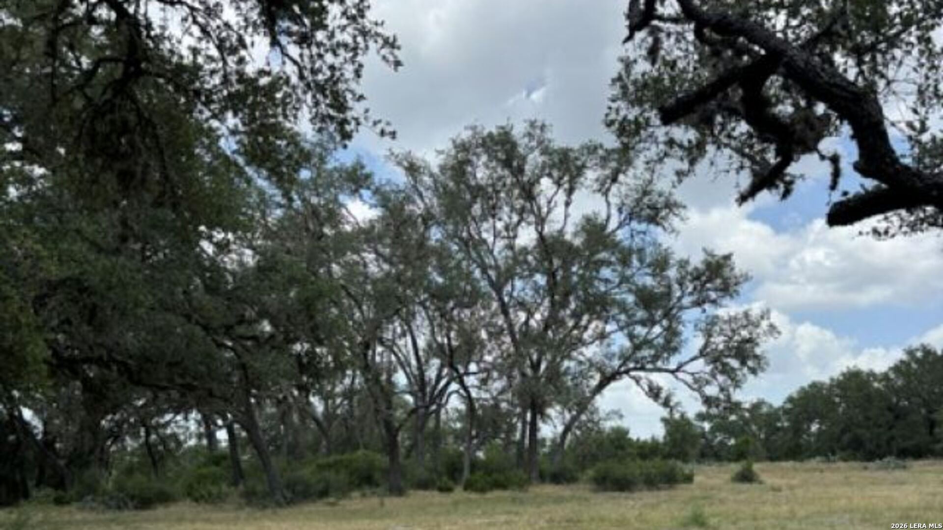 Lot 43 Pr 2535 Mico TX 78056