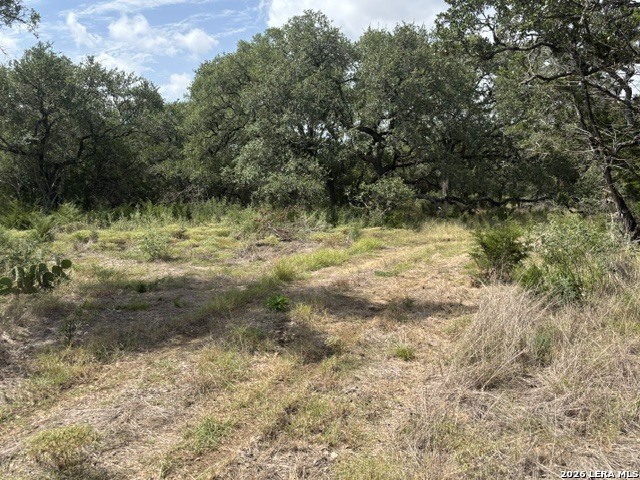 Lot 43 Pr 2535 Mico TX 78056