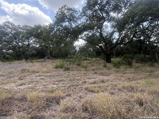 Lot 43 Pr 2535 Mico TX 78056