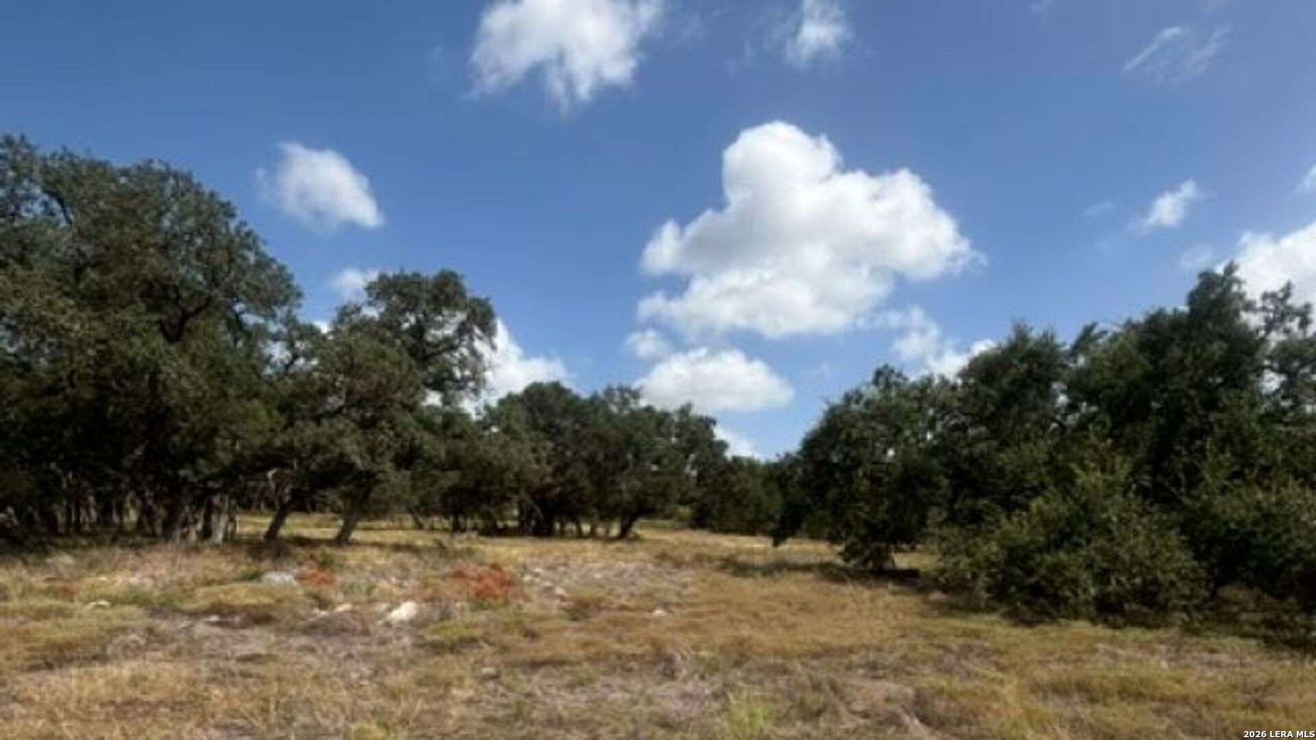 Lot 43 Pr 2535 Mico TX 78056