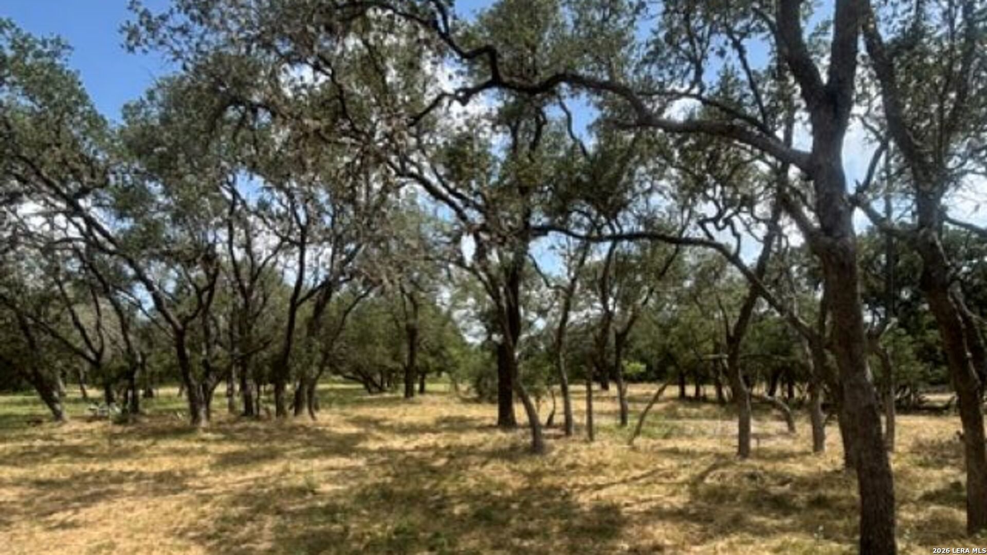 Lot 43 Pr 2535 Mico TX 78056