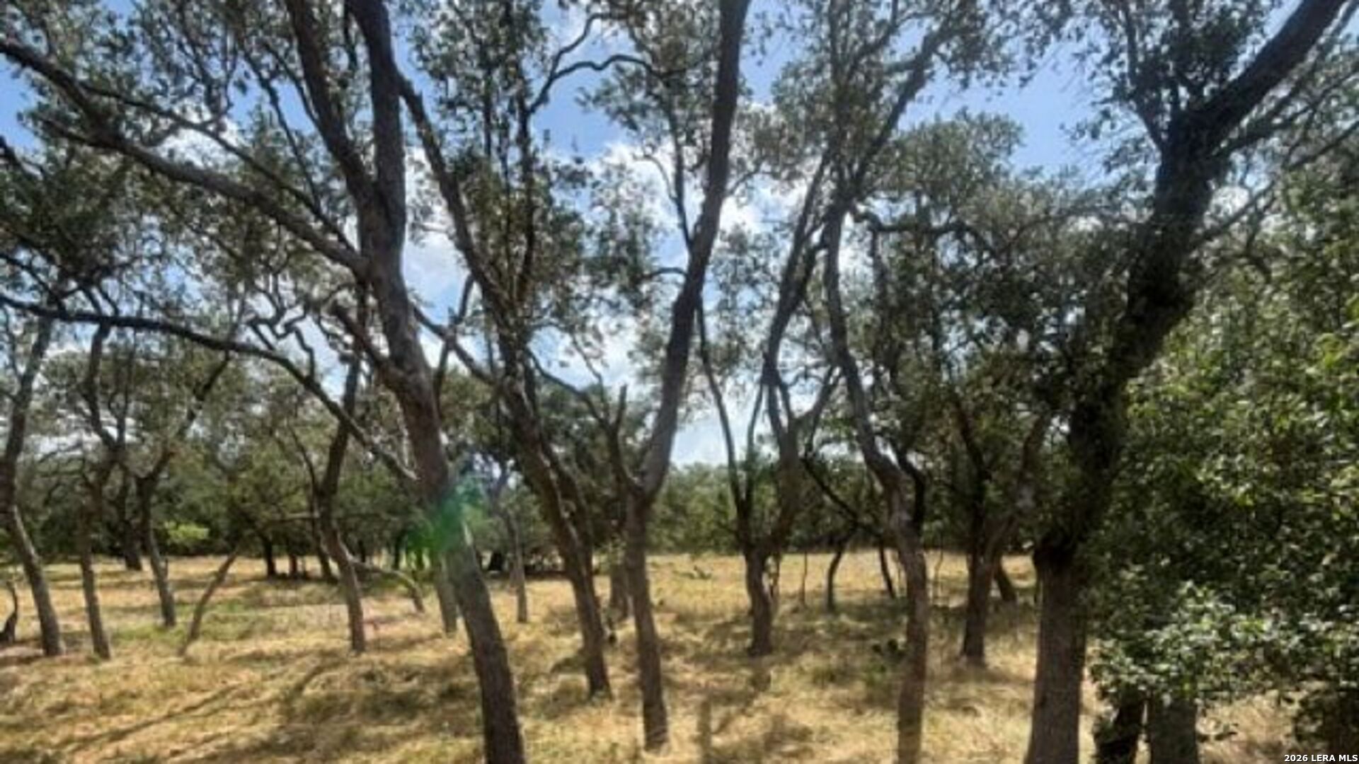 Lot 43 Pr 2535 Mico TX 78056
