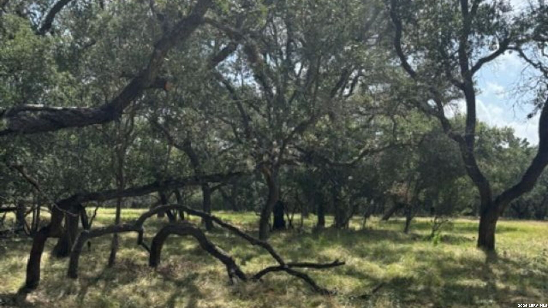Lot 43 Pr 2535 Mico TX 78056