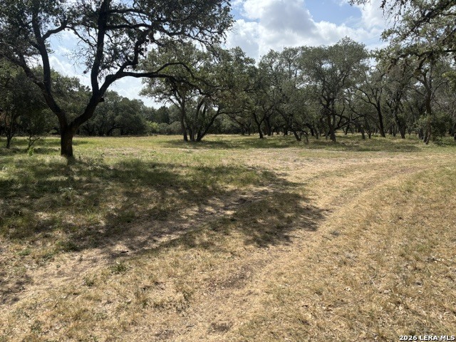 Lot 43 Pr 2535 Mico TX 78056