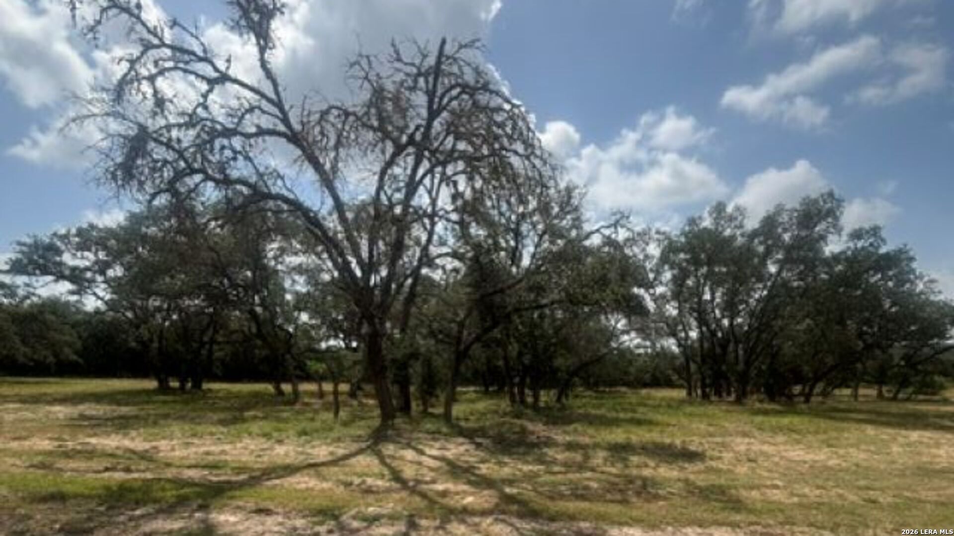 Lot 43 Pr 2535 Mico TX 78056